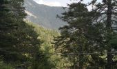 Trail Walking Ayent - le parzet  - Photo 2