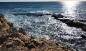 Percorso Marcia Ramatuelle - cap Camarat-golfe St Tropez-03-12-21 - Photo 15