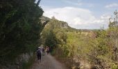 Trail Walking Lodève - Fontbonne Grézac - Photo 5