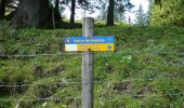 Tour Zu Fuß Brannenburg - Wanderweg 9 - Brannenburg - Photo 8