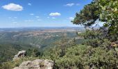 Excursión Senderismo Dourbies - La Dourbie la Hêtraie la Dourbie - Photo 2