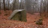 Tour Zu Fuß Rauen - Rundwanderweg Bergbau - Photo 6