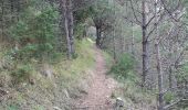 Trail Walking Montferrer - Montferrer . El Castel . Puig de Vilafort -  retour par la piste  - Photo 8