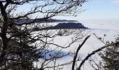 Tocht Stappen Apremont - pointe de la gorgeat par col granier - Photo 20