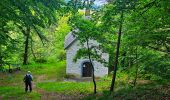 Randonnée Marche Libramont-Chevigny - Balade à Remagne - Libramont-Chevigny - Photo 19