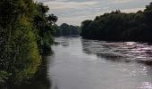 Tocht Stappen Mûrs-Erigné - Mûrs Érigné - Photo 13