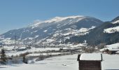 Tour Zu Fuß Hollersbach im Pinzgau - Naturlehrpfad - Photo 3