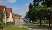 Tour Zu Fuß Schwielochsee - Wanderweg Lamsfeld-Klein Liebitz-Lieberose - Photo 7