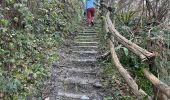 Trail  La Sône - La Sône le sentier du martin pêcheur  - Photo 4