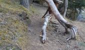 Trail Walking Fontans - LE BAOU DE L'ESTIVAL - Photo 11