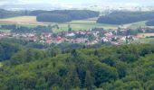 Percorso A piedi Gomadingen - Römerstein - Böhringen - Hengen - Photo 3