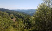 Tocht Stappen Mittlach - Lac d'Altenweiher - Photo 8