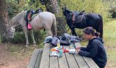 Trail Horseback riding Raon-l'Étape - Yoigo kalio la chipotte étang de saint-rémy - Photo 7