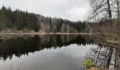 Tocht Stappen Cleurie - cleurie-la charmes-roches du thin-col du singe - Photo 8