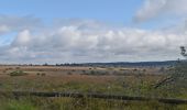 Tour Wandern Weismes - 20210911 - Sourbrodt 6.3 Km - Photo 7