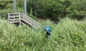 Excursión Senderismo Le Lorrain - Boucle Seguineau 22 Mai - Photo 19