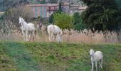 Randonnée Marche Le Cannet-des-Maures - La Garde Freinet par le Pont Romain - Photo 8