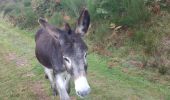 Tocht Stappen Borce - Boucle du lac d'Arlet  - Photo 2