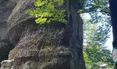 Tocht Stappen Allarmont - 2019-06-08 Marche Allarmont et ses rochers - Photo 8