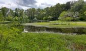 Randonnée Marche Châteauneuf-du-Rhône - Châteauneuf . Les Iles du Rhône 14km - Photo 4