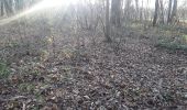 Excursión Senderismo Brou-sur-Chantereine - brou 18-12 - Photo 20