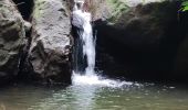 Tocht Stappen Le Prêcheur - Cascade de l'anse Couleuvre, depuis anse Céron en aller-retour ! - Photo 7