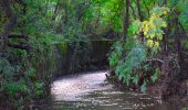 Trail Walking Mandelieu-la-Napoule - Maure Vieil - Les 3 Cols - Photo 8