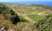 Tour Zu Fuß Pantelleria - Monastero - Raháli - Punta Limársi - Photo 1