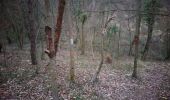 Trail Walking Saint-Vincent-la-Commanderie - bois des masques/ St Vincent la Commanderie - Photo 15