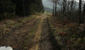 Tocht 4x4 Fénols - Vabre Anglés Parc du haut Languedoc - Photo 4