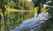 Tour Wandern Pinsaguel - PINSAGUEL : sentier de la Confluence (24.08.2023) - Photo 5