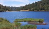 Tour Wandern Stoßweier - Le col de la Schlucht lac de la Lande - Photo 5