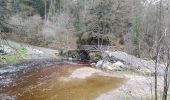 Tour Wandern Jalhay - pont de belle heid la vallée de la hoegne - Photo 19