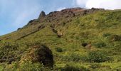 Trail Walking Saint-Claude - La Soufrière - Photo 3