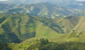 Trail On foot Folhadela - Percurso pedestre do Douro Vinhateiro III - Photo 1