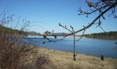 Trail On foot Guadarrama - [SL-M 44006] Bosque plateado - Photo 1