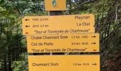 Tour Wandern Saint-Pierre-de-Chartreuse - Le charmant Som en Boucle - Photo 13