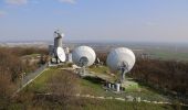 Percorso A piedi Berg - Rundwanderweg Königswarte-Altes Haus - Photo 1