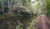 Trail Walking Woking - Ballade le long du canal - Photo 5