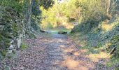 Tocht Stappen Taulignan - Taulignan le chemin de la soie - Photo 3