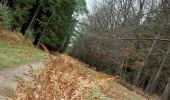 Trail Walking Sprimont - 15km Banneux Nov 2022 - Photo 3