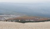 Trail Walking Beaumont-du-Ventoux - Mts Serein, Ventoux, tête de la Grave - Photo 6