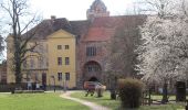 Tour Zu Fuß Ziesar - Naturparkrundwanderweg 51 