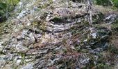 Tocht Stappen Bourbach-le-Haut - Le sentier géologique du Rossberg - Photo 17