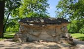 Tocht Stappen Maisons-Alfort - Le sentier de forts partie est - Photo 7