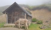 Tour Wandern Arbéost - boucle au Soulor - Photo 6