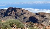 Excursión A pie La Orotava - Parador de Teide Alto Guajara caldeira de Teide  - Photo 15
