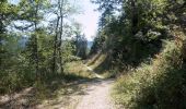 Percorso Marcia Autrans-Méaudre en Vercors - Autrans - Gève - Bec de l'Orient - La Buffe - Photo 15