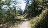 Randonnée Marche Autrans-Méaudre en Vercors - Autrans - Gève - Bec de l'Orient - La Buffe - Photo 15