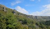 Trail Walking Caussols - De Caussols vers le sommet et le plateau de Calern - Photo 5